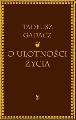 Zrzut ekranu 2025-02-17 130857